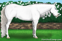 Horse Color:Smoky Creme Tobiano Appaloosa 