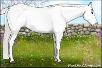 Horse Color:Silver Black Appaloosa