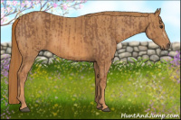 Horse Color:Chestnut  Brindle