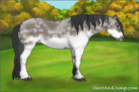 Horse Color:White Spotted Grullo Frame