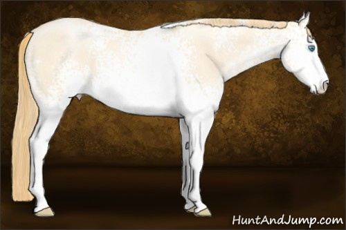 Horse Color: White Spotted Buckskin Pearl Dun Sabino 