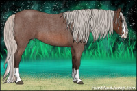 Horse Color:Silver Brown Roan Splash