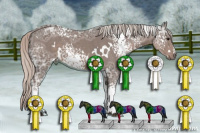 Horse Color:White Spotted Silver Black Ice