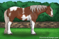 Horse Color:Silver Bay Tobiano Frame 