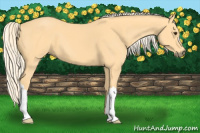 Horse Color:Palomino
