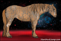 Horse Color:White Spotted Blue Roan Rabicano  Brindle