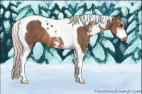 Horse Color:Silver Black Sabino Tobiano 