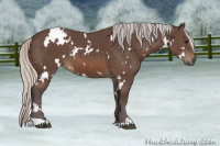 Horse Color:White Spotted Silver Black 