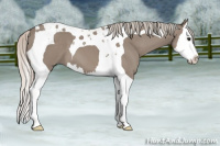 Horse Color:Silver Grullo Splash Tobiano 