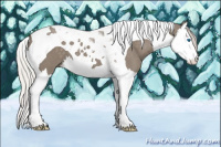 Horse Color:Silver Buckskin Dun Splash Tobiano 