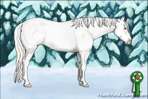 Horse Color: Silver Classic Champagne Ice Pearl Sabino 