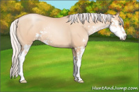 Horse Color:Silver Sable Champagne Pearl Sabino 