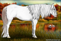 Horse Color:Blue Roan Splash Snowflake Varnish