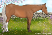 Horse Color:Silver Bay 