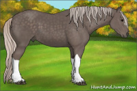 Horse Color:Silver Black 
