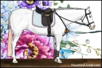 Horse Color:Buckskin Roan Pearl Appaloosa