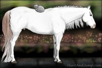 Horse Color:Brown Dun Snowcap Rabicano  Brindle