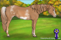 Horse Color:White Spotted Chestnut Frame 