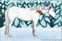 Horse Color:Silver Brown Sabino Splash Tobiano 