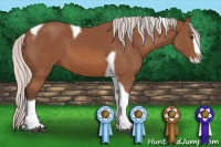 Horse Color:Silver Bay Sabino Splash Tobiano 