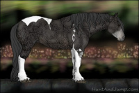 Horse Color:Brown Ice Sabino Tobiano 