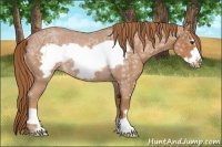 Horse Color:Red Ice Roan Frame Rabicano 