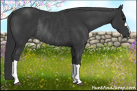 Horse Color:Brown Rabicano 