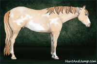 Horse Color:White Spotted Buckskin Pearl Frame 