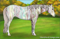 Horse Color:Silver Bay Ice 