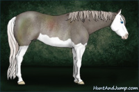 Horse Color:Silver Brown Splash Rabicano