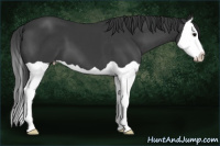 Horse Color:Brown Splash 