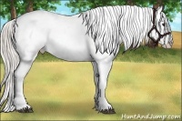 Horse Color:Silver Black Blanket 