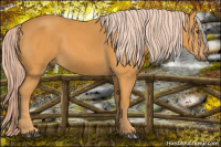 Horse Color:Chocolate Palomino 