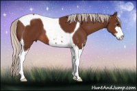Horse Color:Silver Bay Sabino Tobiano 