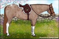 Horse Color:Red Roan Tobiano 