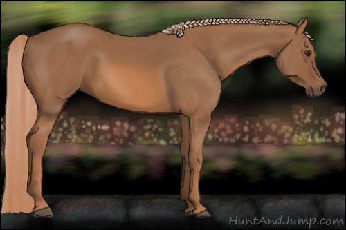 Horse Color: Chestnut Rabicano 