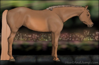 Horse Color:Chestnut Rabicano