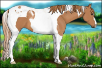 Horse Color:Chestnut Tobiano