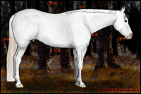 Horse Color:Liver Red Dun Near Fewspot 