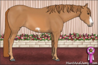 Horse Color:Chestnut Frame 