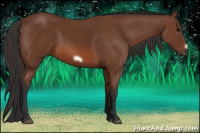 Horse Color:Bay Frame