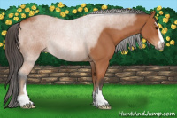 Horse Color:Bay Roan Sabino 