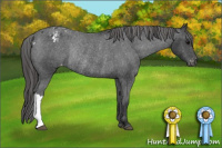 Horse Color:Black Blanket Rabicano 