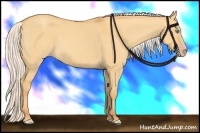 Horse Color:Silver Sable Cream Champagne Dun 