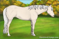Horse Color:Silver Perlino 