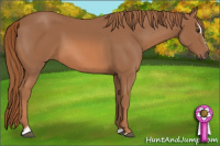 Horse Color:Chestnut Sabino