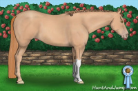 Horse Color:Gold Champagne