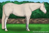 Horse Color:Perlino 