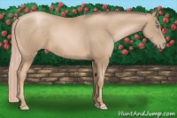 Horse Color:Chocolate Palomino Pearl 