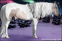 Horse Color:Bay Tobiano 